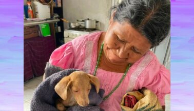 El Fondo Global de Compasión de PETA Latino llega a Guatemala. Mira las vidas que estás cambiando