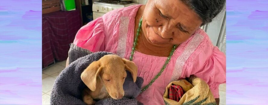 El Fondo Global de Compasión de PETA Latino llega a Guatemala. Mira las vidas que estás cambiando