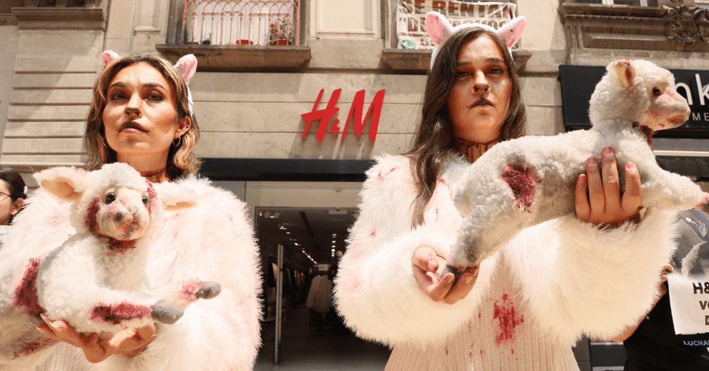 H&M DEMO in CDMX