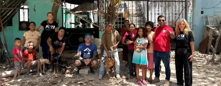 Lo que vi en la 18.ª clínica de esterilización de PETA Latino en Cancún