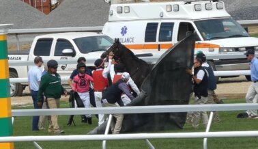 Video exclusivo: Yegua asesinada durante el fin de semana inaugural de Belmont Park