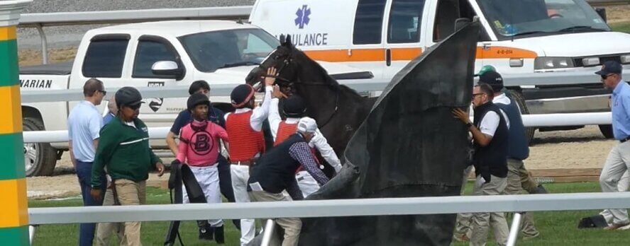 Video exclusivo: Yegua asesinada durante el fin de semana inaugural de Belmont Park