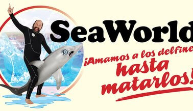 El protagonista de “Stranger Things” tiene un nuevo y aterrador papel: “entrenador” de SeaWorld. No te pierdas cómo revela los oscuros secretos del parque de INdiversiones.