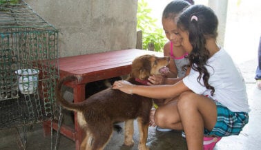 ¡Honduras Unido para salvar a sus animales!