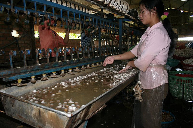 silk farmer