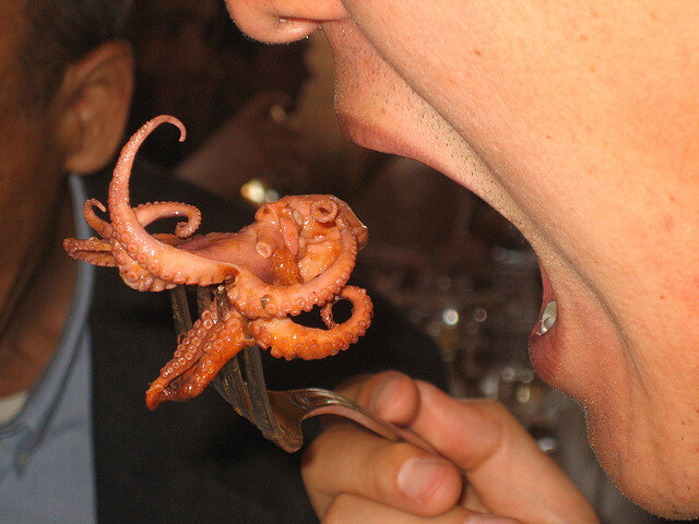 eating octopus-strange animals