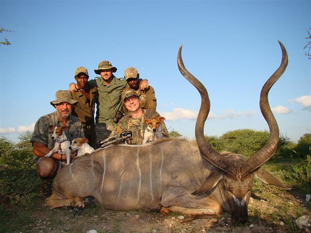 trophy hunting kudu