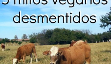 5 mitos veganos desmentidos