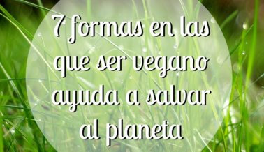 7 formas en las que ser vegano ayuda a salvar al planeta