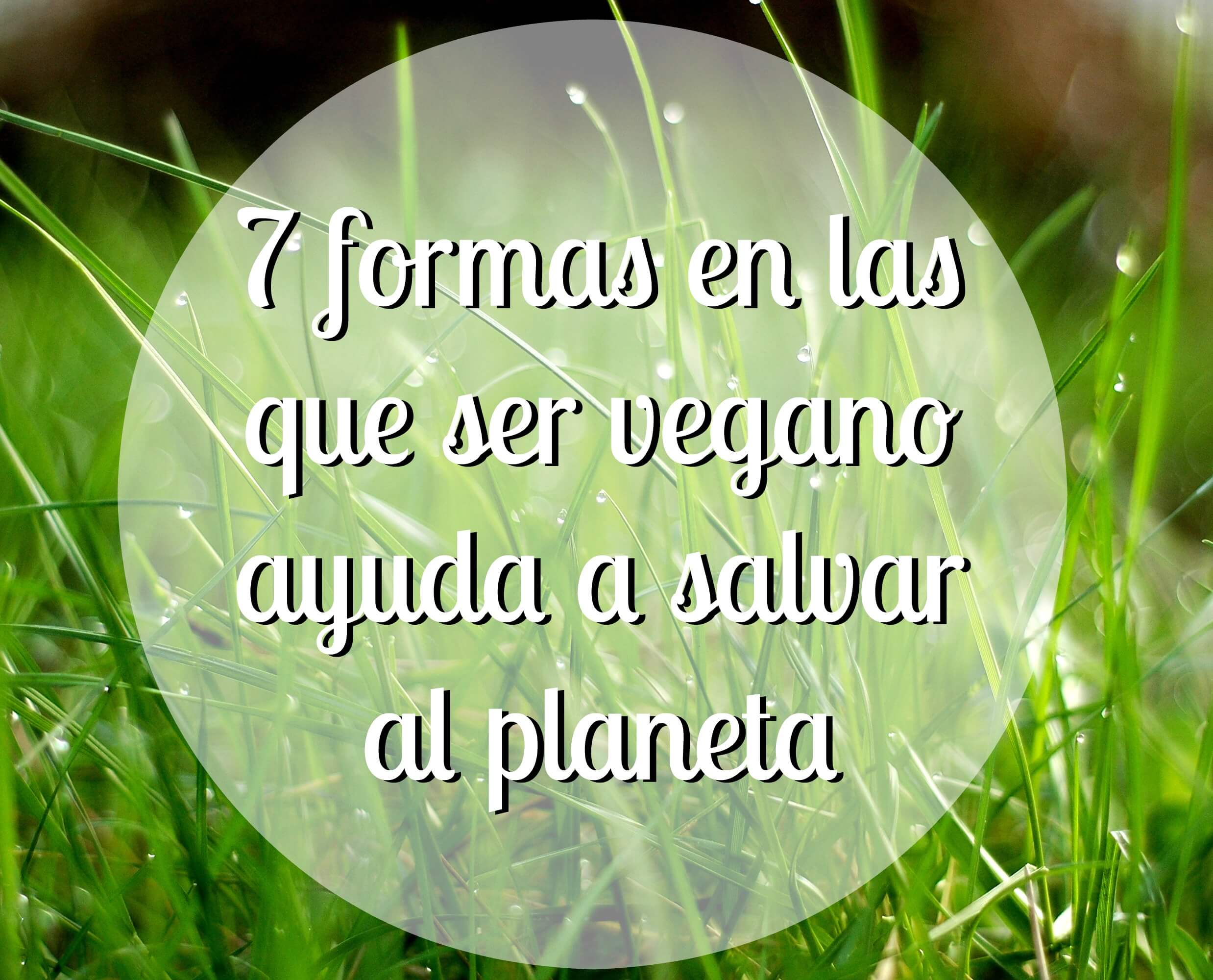 7 formas en las que vegano ayuda salvar planeta - Entradas - Latino