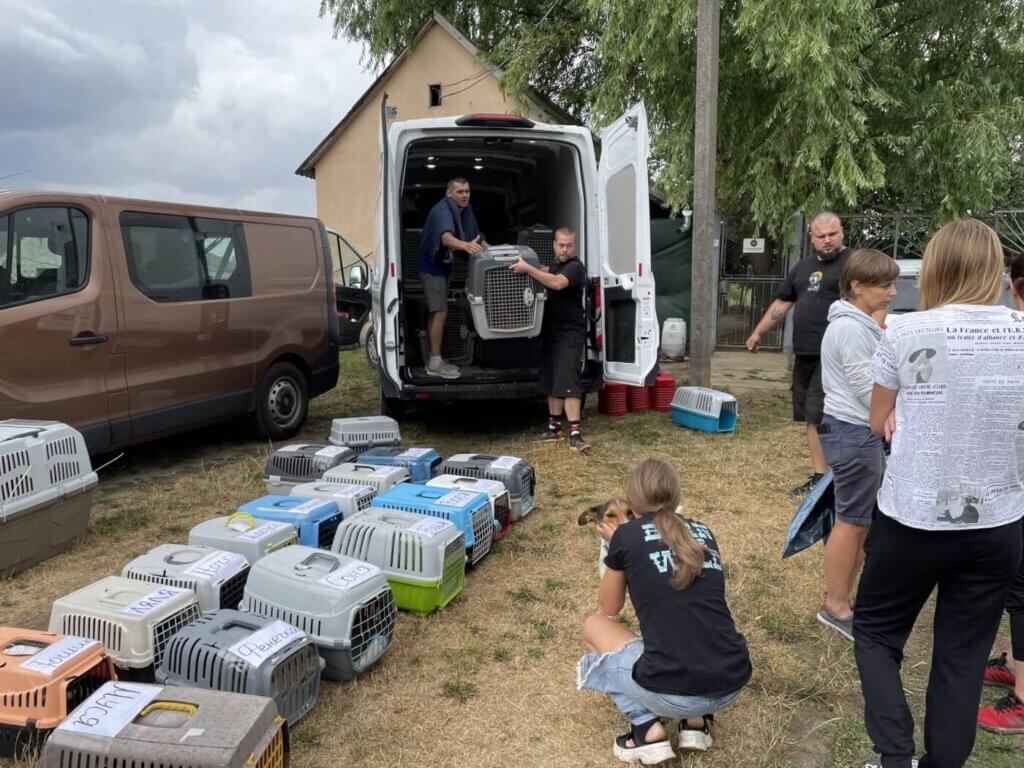 Ukraine Truck Rescuing Animals 