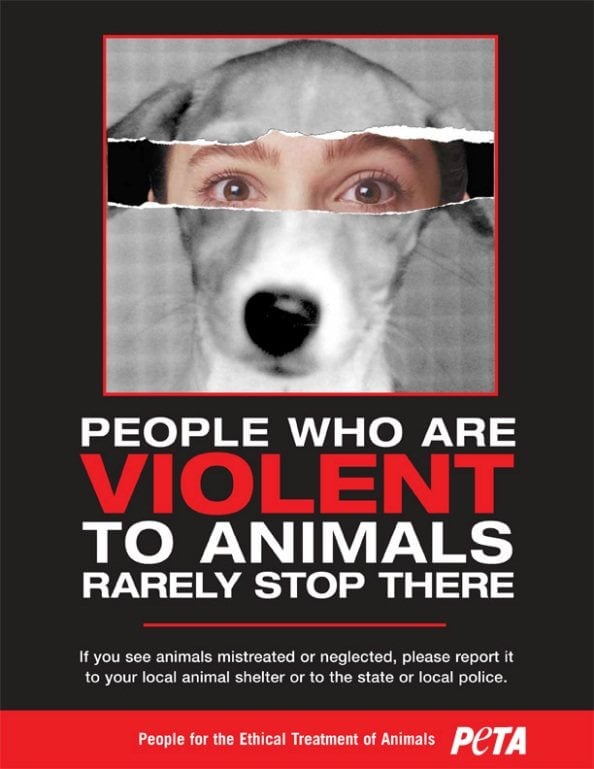 Maltrato A Los Animales Y Maltrato A Los Humanos Complices Del