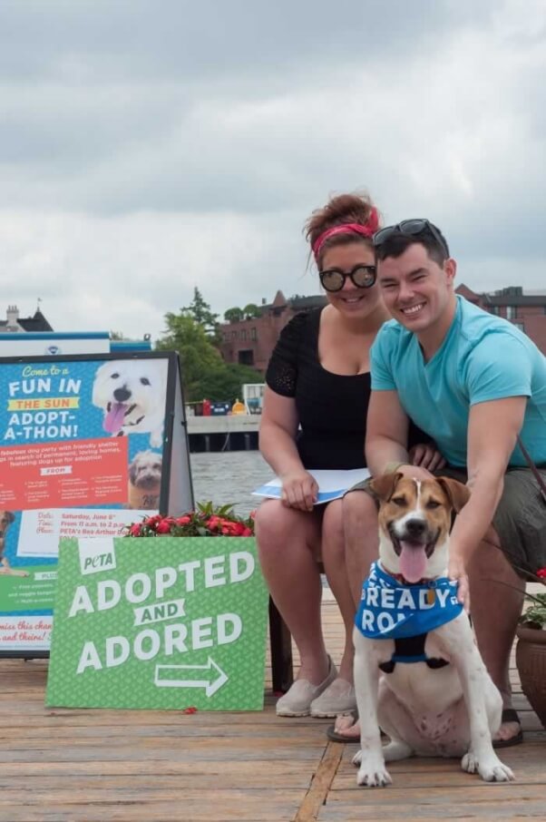 Joey adopted