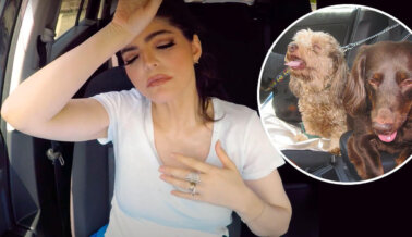 Ana Bárbara demuestra por qué los carros calientes son trampas mortales para los perros