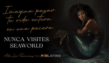Aoki Lee Simmons se mete en una pecera para alzar la voz por las orcas que sufren en SeaWorld