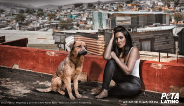 Ariadne Díaz: Ellos NO Nos Abandonarían
