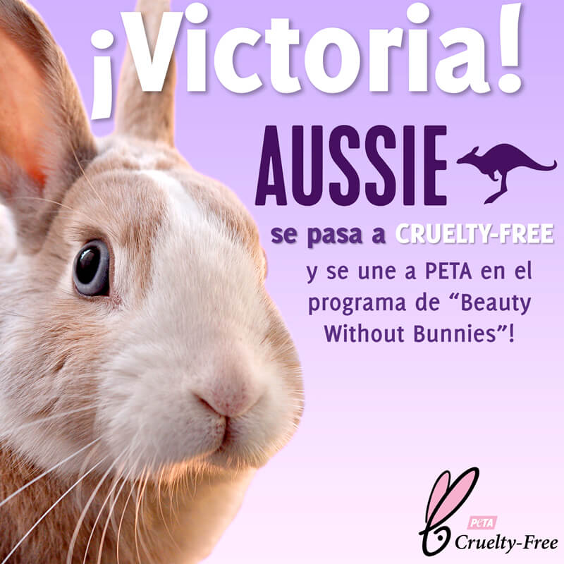 Aussie Prohíbe las Pruebas en Animales y Obtuvo la Certificación Cruelty  Free de PETA | PETA