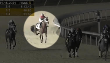 MIRA: Un Caballo de Carreras Colapsa en Turfway Park