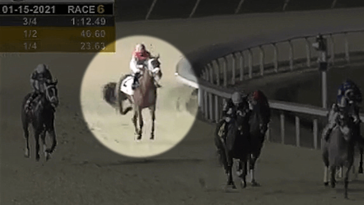 Un caballo en Turfway Park