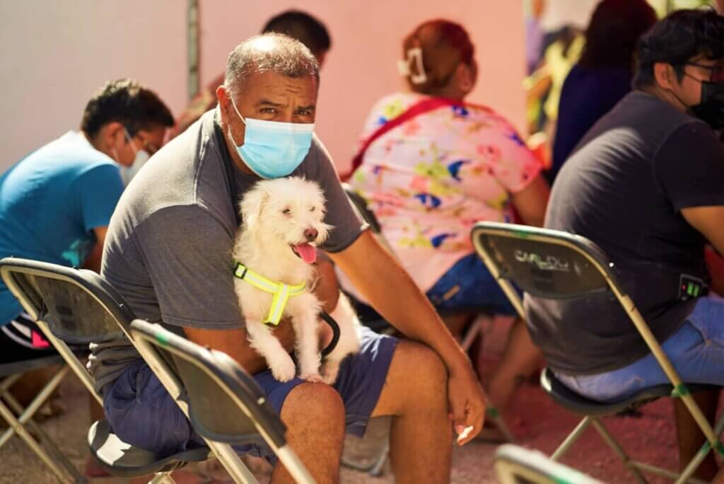 500 perros y gatos esterilizados o castrados en Cancún | PETA Latino