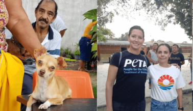 PETA Latino Organiza Evento de Esterilización de Fin de Semana en Cancún