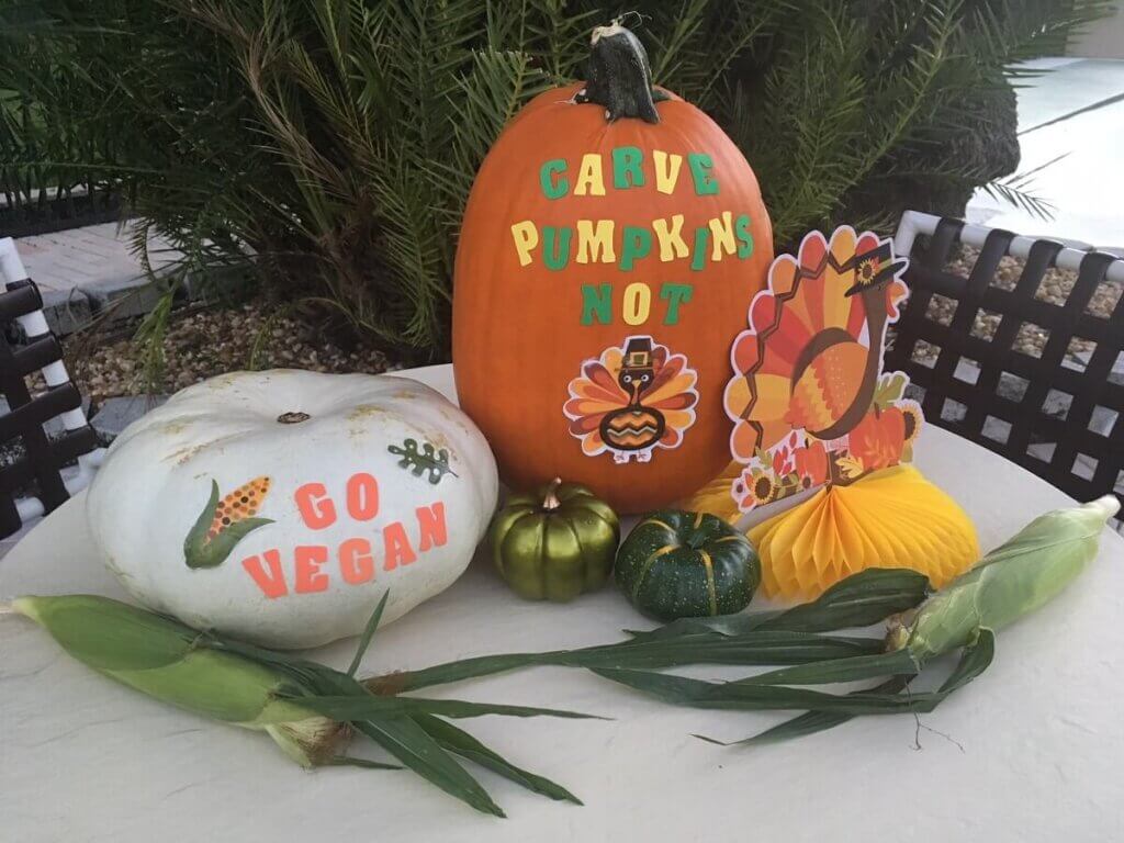 Pumpkin decorations
