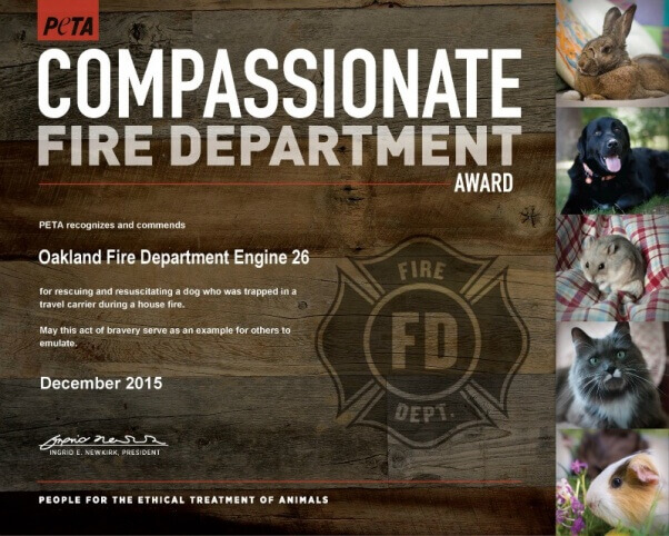 CompassionateFireDept_ENGINE-26_Oakland-Fire-Department-602x482