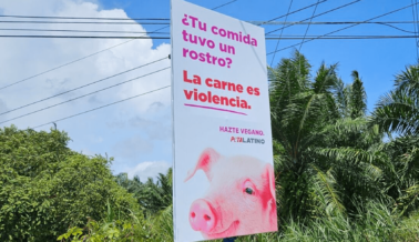 Nuevas y llamativas vallas publicitarias de Costa Rica hacen que la gente esté considerando hacerse vegana