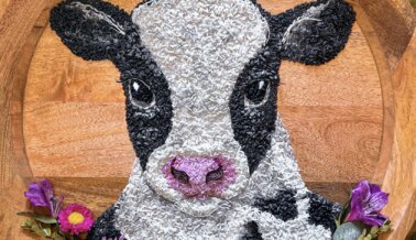 Cómo el Arte con Arroz Puede Ser un Buen Comienzo para Conectar con las Vacas: Un Video Conmovedor