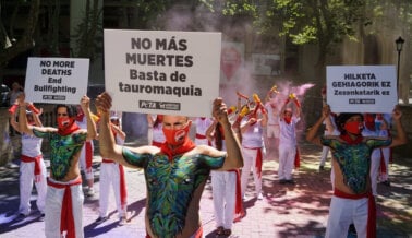 Activistas Piden el Fin Definitivo de las Corridas y Encierros de Toros