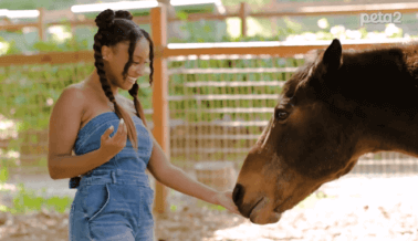 ‘Dream for Animals’ de Dana Heath: Podemos ser la luz