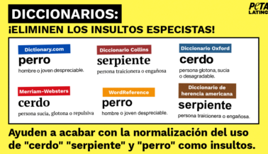 ¡Insta a los diccionarios a prohibir las definiciones despectivas y especistas!