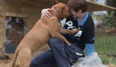 Conoce al Equipo de Rescate de PETA y a Los Animales Que Ayudan
