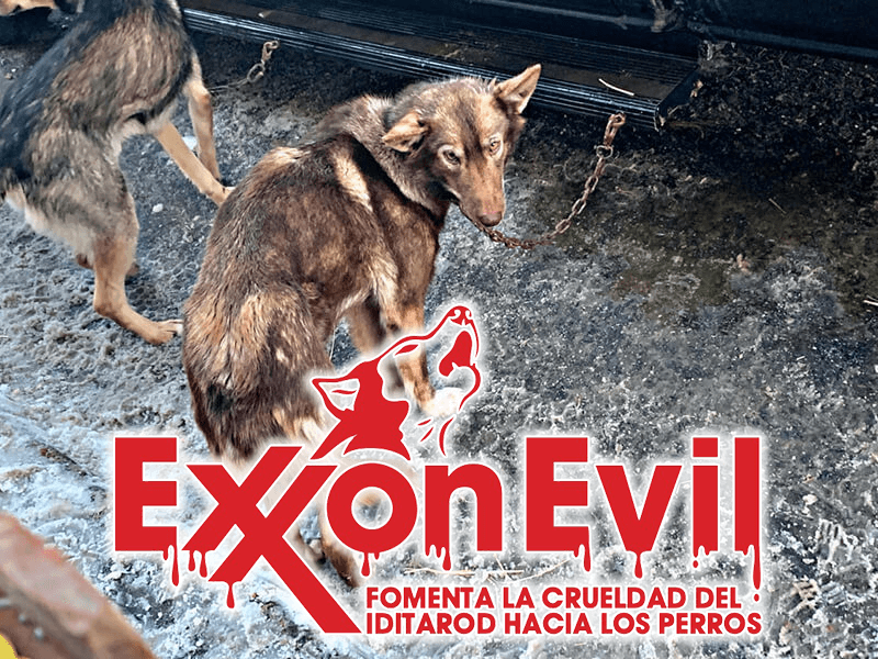 ExxonEvil logo and a picture of a dog at the Iditarod