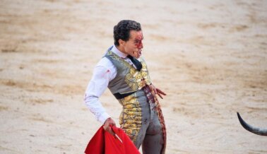 Pide a Movistar+ que Deje de Torturar y Matar Toros Pide a Movistar+ que Deje de Torturar y Matar Toros
