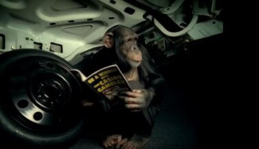 Insta a Suburban Auto Group a Eliminar los Arcaicos Comerciales con Monos (Trunk Monkey)