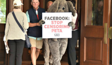 Expulsado un ‘Elefante’ de PETA con Mensaje Para Mark Zuckerberg