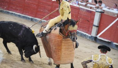 ¡Guerrero prohíbe las corridas de toros, los carruajes tirados por caballos y más!