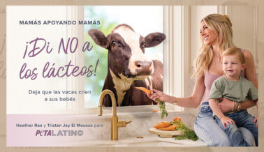 El mensaje de una madre para dejar los lácteos: Heather Rae El Moussa y su hijo promueven la compasión en la adorable nueva campaña de PETA Latino