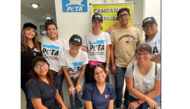 Las clínicas financiadas por PETA en América Latina tienen un impacto enorme