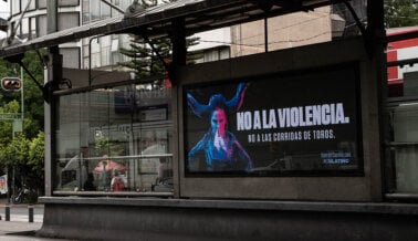 En el Día Mundial Antitaurino, PETA Latino crea conciencia
