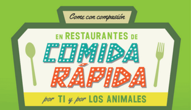 Cómo elegir opciones compasivas en restaurantes de comida rápida