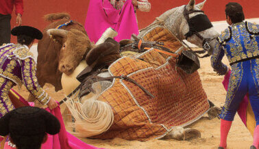 ¿Quieres Visitar Países Que Todavía Permiten Mortales Corridas de Toros?