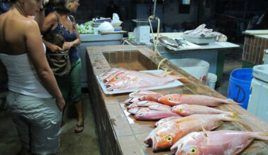 ¿Hay Parásitos en tu Comida? ¡Deja el Pescado Antes de que tu Comida te Coma a Ti!