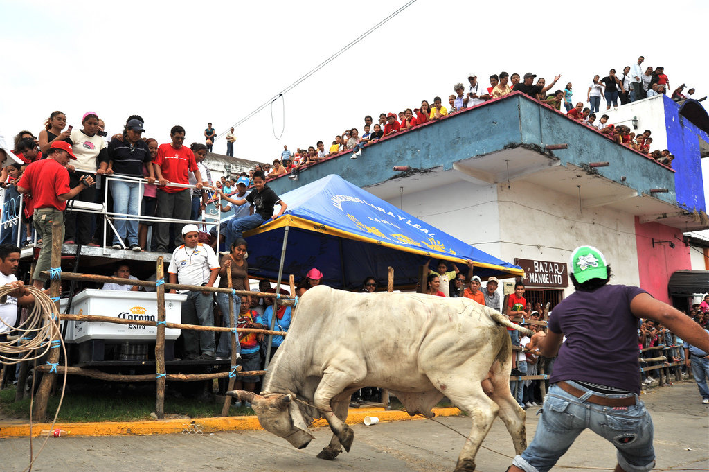 Festival de toros de Tlacotalpan