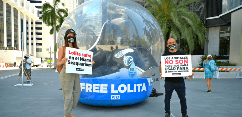 Protest to Free Lolita From Miami Seaquarium in Miami