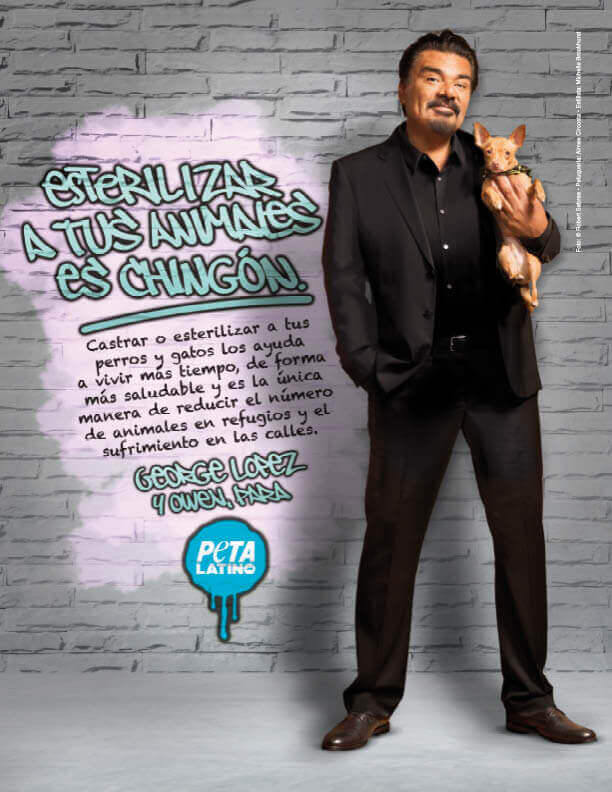 george_lopez_portrait_latino_72