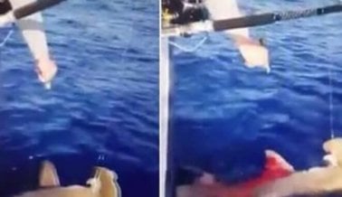 ¿Estrella de ‘Siesta Key’ de MTV le disparó a un tiburón martillo? Las autoridades investigan