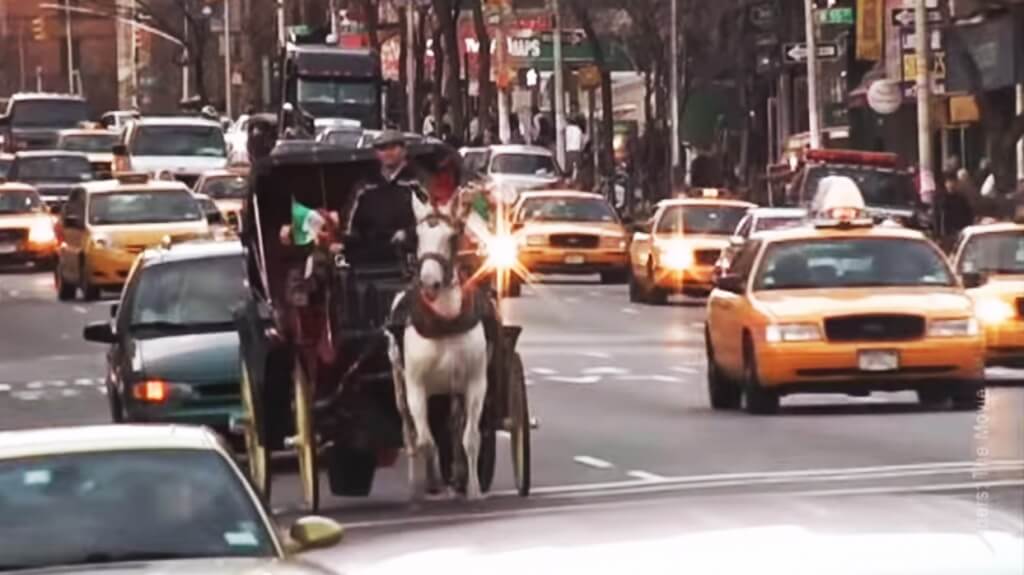 Horse In Traffic