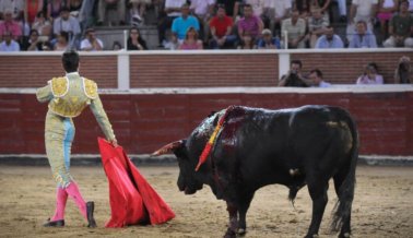 Mira: Al menos tres personas gravemente heridas en una corrida de toros